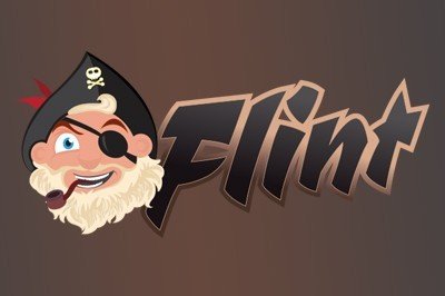 Флинт казино